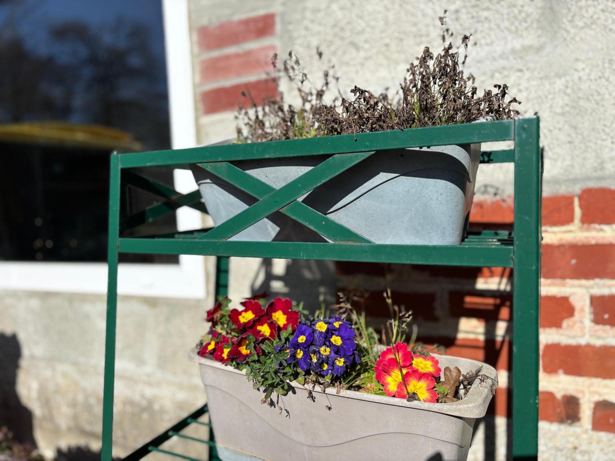 Maison De Campagne Lumineuse Spacieuse Dans Impasse Au Calme A Proximite D'Un Chateau Deux Verandas Grand Jardin Cabane Pour Velos, Pres Port En Bessin Et Bayeux, Proche Plages Du Debarquement Commes المظهر الخارجي الصورة